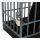 Handy-Gefängnis für max. 6 Smartphones mit Schloß, 2 Schlüsseln, Gefängniszelle für Mobil-Telefone, Familien-Handy-Auszeit, Steck-Montage