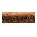 Kokos-Fußmatte mit robustem Drahtgeflecht für Außen und Innen-Bereiche, Farbe natur, Naturborsten Länge ca. 1,4 cm, Größe (LxBxH) ca. 40 x 58,5 x 3,5 cm