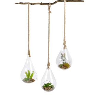 Sukkulenten im Glas mit gekordeltem Seil zum Aufhängen, künstliche Sukkulenten im Glastropfen, Kunstpflanzen auf Kiesbett, Höhe ohne Seil 30 cm, mit Seil 80 cm