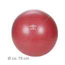 Fitness-Ball Ø ca. 75 cm, Ventil-Stopfen plus extra Ventilverschluß, zur Konditionssteigerung, fördert Balance, Stabilität, Muskelaufbau, verbrennt Kalorien, zur Rehabilitation, max. belastbar 120 kg