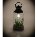Retro-Design-Lampe, Glas-Laterne mit LED-Glühbirne,...