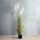 Künstliche Zimmerpflanze Federgras Foxtail, Pampasgras Kunstpflanze weiß