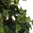 Künstliche Zimmerpflanze Efeu, Hedera Kunstpflanze im Ton Blumentopf