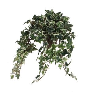 Kletternde Efeu-Kunstpflanze mit langen, hängenden Ästen und sternförmigen Blättern, Hedera Kunstpflanze im Ton Blumentopf