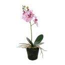 Künstliche Orchidee in vorgeformter Kunsterde,...