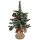Künstlicher Weihnachtsbaum, beleuchtet von 15 LEDs warmweiß, mit 5 Tannenzapfen, 5 Dolden mit je 5 künstlichen roten Beeren, verschneite Optik, Fuß im Sisalsack, Batteriebetrieb, IP 44